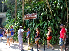 IfWlC:CƎR̊Ԃ̃JIJi  Rio de Janeiro: Carioca Landscapes between the Mountain and the Sea