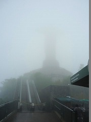 IfWlC:CƎR̊Ԃ̃JIJi  Rio de Janeiro: Carioca Landscapes between the Mountain and the Sea