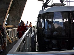 IfWlC:CƎR̊Ԃ̃JIJi  Rio de Janeiro: Carioca Landscapes between the Mountain and the Sea