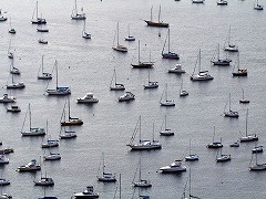 IfWlC:CƎR̊Ԃ̃JIJi  Rio de Janeiro: Carioca Landscapes between the Mountain and the Sea