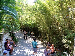 リオデジャネイロ:海と山の間のカリオカ風景 Rio de Janeiro: Carioca Landscapes between the Mountain and the Sea