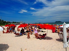 リオデジャネイロ:海と山の間のカリオカ風景 Rio de Janeiro: Carioca Landscapes between the Mountain and the Sea