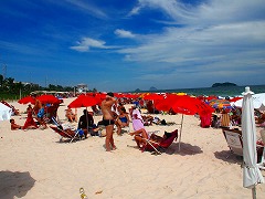 IfWlC:CƎR̊Ԃ̃JIJi  Rio de Janeiro: Carioca Landscapes between the Mountain and the Sea