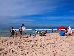 IfWlC:CƎR̊Ԃ̃JIJi  Rio de Janeiro: Carioca Landscapes between the Mountain and the Sea