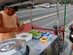 IfWlC:CƎR̊Ԃ̃JIJi  Rio de Janeiro: Carioca Landscapes between the Mountain and the Sea