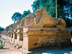 古代都市テーベとその墓地遺跡 /Ancient Thebes with its Necropolis