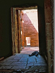 古代都市テーベとその墓地遺跡 /Ancient Thebes with its Necropolis