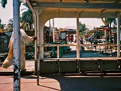 古代都市テーベとその墓地遺跡 /Ancient Thebes with its Necropolis