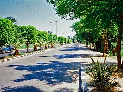 古代都市テーベとその墓地遺跡 /Ancient Thebes with its Necropolis