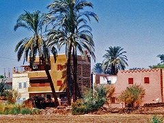 古代都市テーベとその墓地遺跡 /Ancient Thebes with its Necropolis