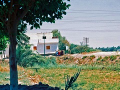 古代都市テーベとその墓地遺跡 /Ancient Thebes with its Necropolis