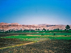 古代都市テーベとその墓地遺跡 /Ancient Thebes with its Necropolis