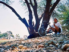 古代都市テーベとその墓地遺跡 /Ancient Thebes with its Necropolis