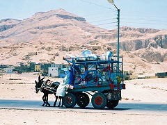 古代都市テーベとその墓地遺跡 /Ancient Thebes with its Necropolis