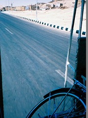 古代都市テーベとその墓地遺跡 /Ancient Thebes with its Necropolis